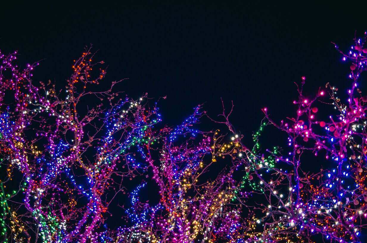 you can have a professional organizer help with de-cluttering your holiday decorations.