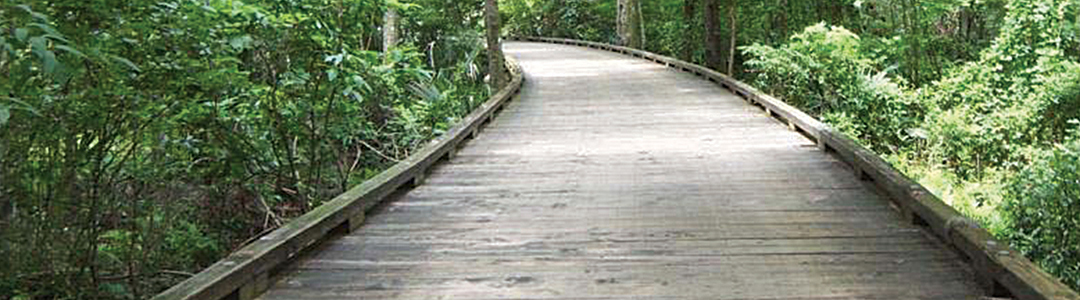 A Clear Path
