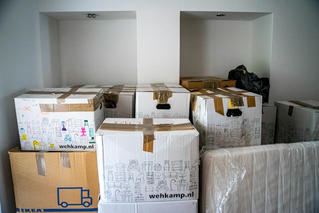 organizing the clutter is recommended. a professional organizer suggests labeled boxes.